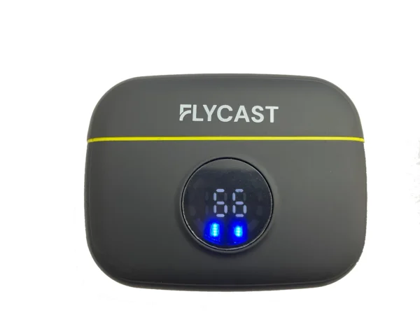 FLYCAST 2 in 1 Mini Wireless Microphone